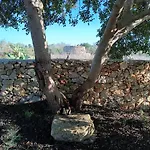 Holiday home Il Cocciolo Alliste