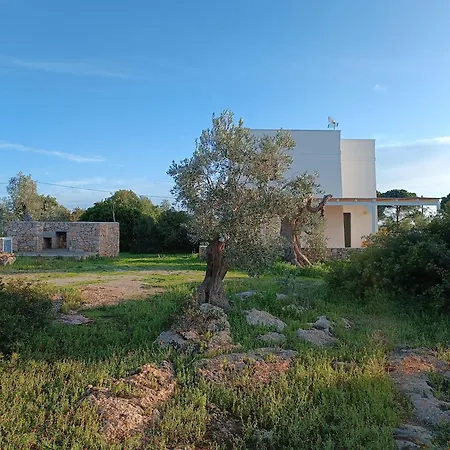 Il Cocciolo Holiday home