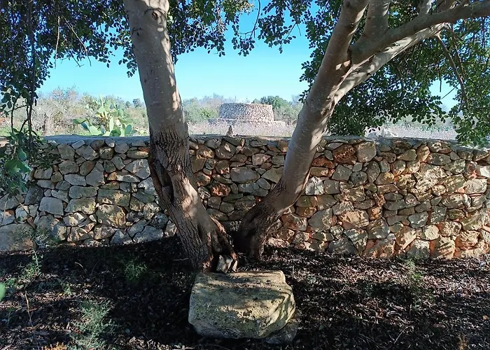 Tatil Evi Il Cocciolo Alliste