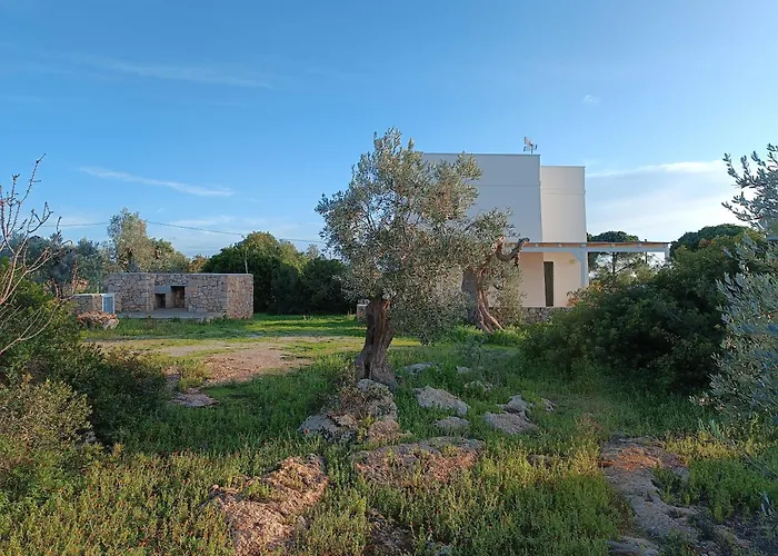 Il Cocciolo Tatil Evi
